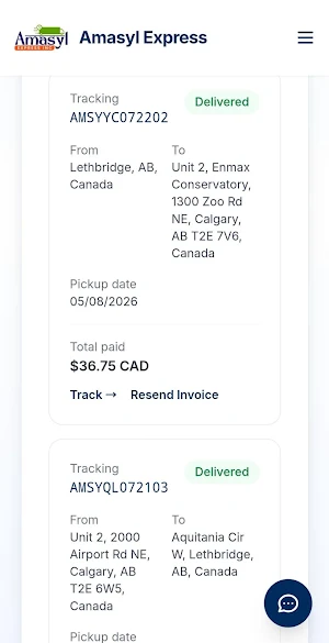 Amasyl Express Screenshot 1
