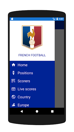 French Soccer Live Screenshot 2