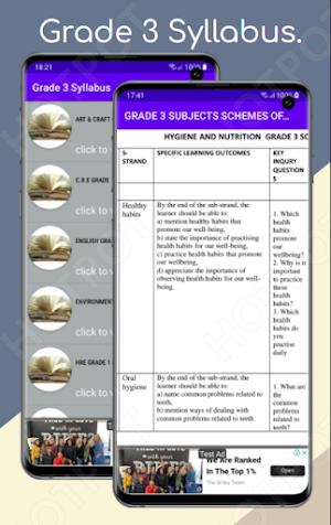 Grade 3 CBC Syllabus. Screenshot 2