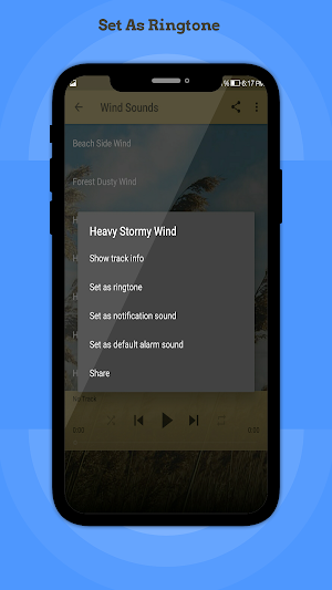 Wind Sounds Screenshot 2
