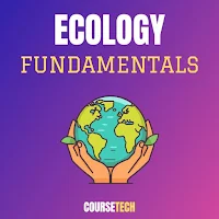 Ecology Fundamentals