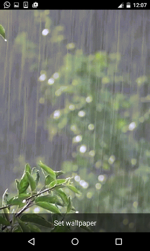 Rain Live Wallpapers Screenshot 0