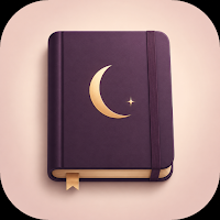 Self Reflection Journal