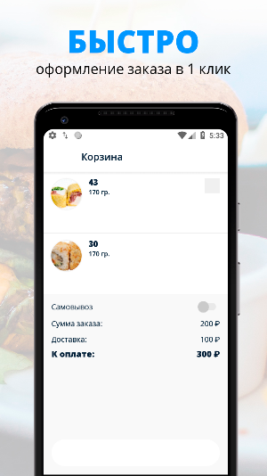 Доставка Все Про100 | Russia Screenshot 2