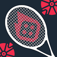 Blaze jogo - Facts Badminton