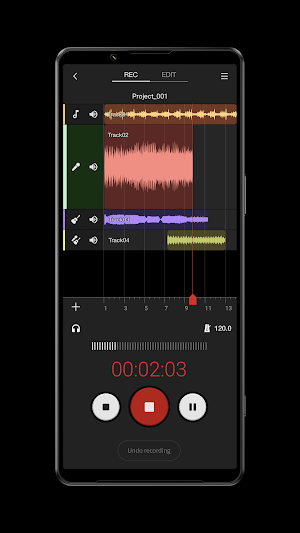 Music Pro Screenshot 1