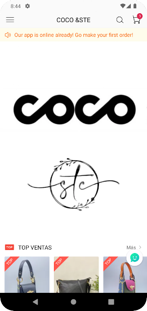 COCO STE Screenshot 1