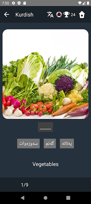 Kurdish Language Tests Screenshot 3