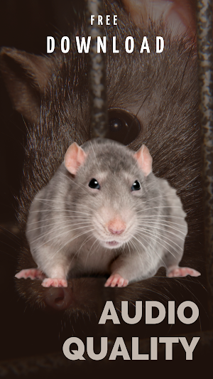 Mouse sound prank screenshot 4