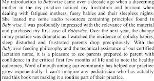 On Becoming Baby Wise Screenshot 0