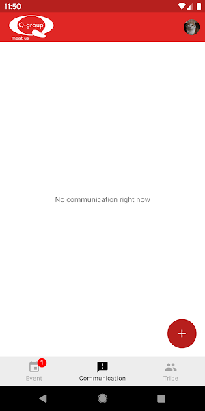 Q-group Screenshot 2