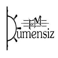 Dümensiz Radyo