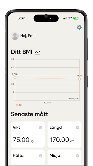 Vevil Screenshot 1