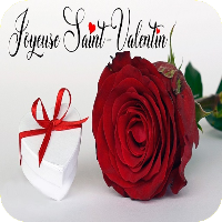 Joyeuse Saint Valentin