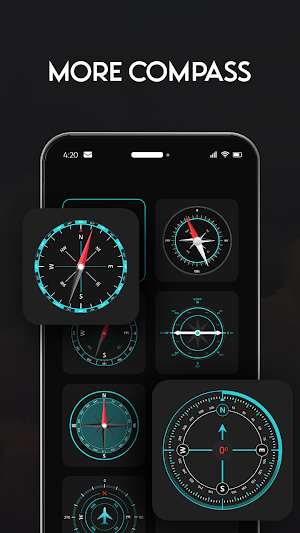 Digital Compass screenshot 6