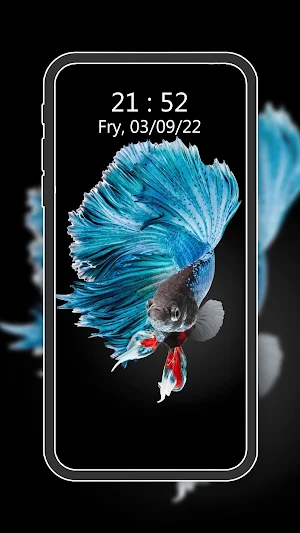 HD Fish Wallpapers Screenshot 0