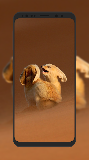 Fox Wallpaper HD Screenshot 3