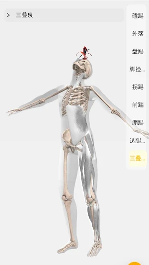 Muscle1 Screenshot 1