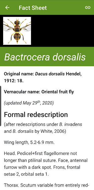 Key selected fruitflies Africa Screenshot 2