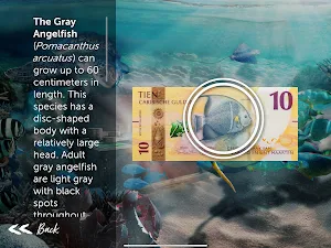 My Caribbean Guilder Screenshot 3
