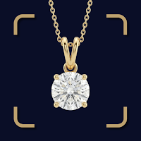 Jewelry Identifier & Value