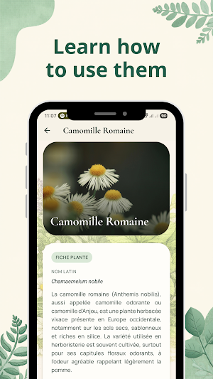 Mon Herboriste: Plant Guide Screenshot 3