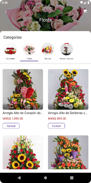 Flores&Regalos Screenshot 3