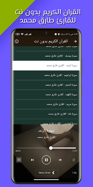 القران طارق محمد بدون نت Screenshot 0