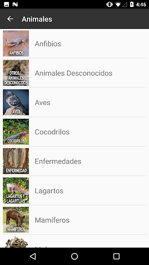 IveGot1 Español Screenshot 1