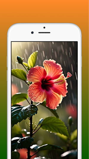 Hibiscus Flower Wallpaper HD Screenshot 0