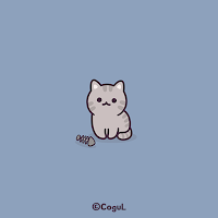 카카오톡 테마 - 회색 고등어 냥이
