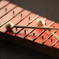 Vibraphone Instrument