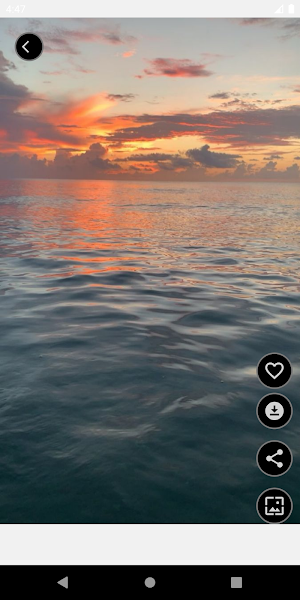 Sky Wallpapers HD Screenshot 3
