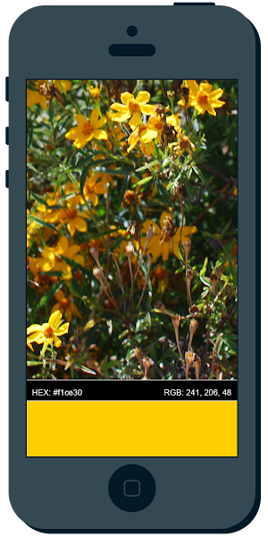 Color Catch Screenshot 1