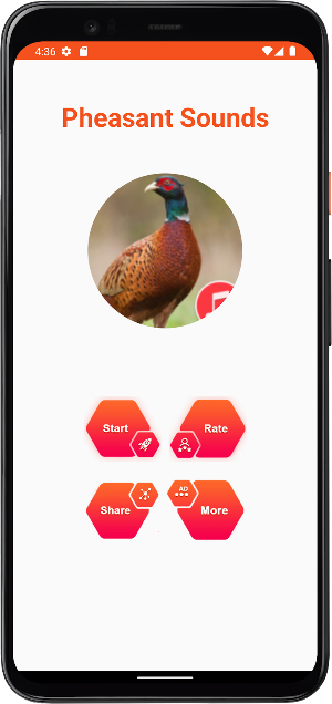 Pheasant Sounds Screenshot 1