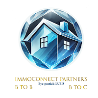 ImmoConnect Partner's