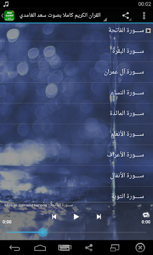 القران الكريم بصوت سعد الغامدي Screenshot 1