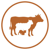 Farm Planner
