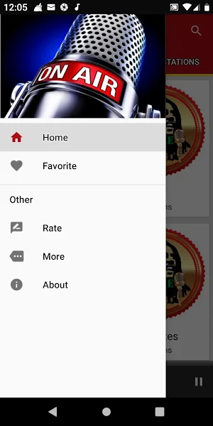 Reggae Music Radio Stations Screenshot 2