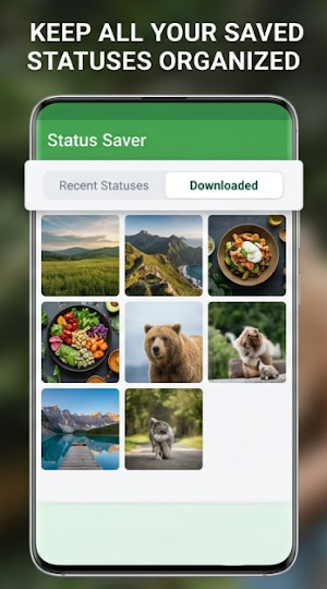 Status Saver - Video Download Screenshot 2