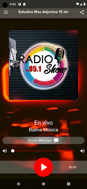 Radio Show Argentina 95.1 Fm Screenshot 0