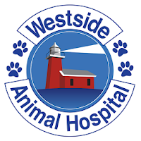 Vet Station