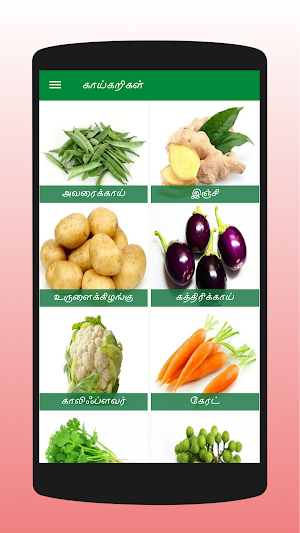 Fruits & Vegetables - பழங்கள், காய்கறிகள் Screenshot 1