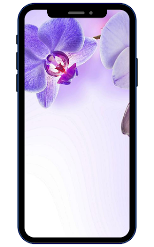 Orchid Wallpapers Screenshot 3
