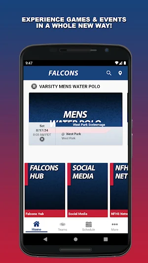 Christian Brothers Falcons Screenshot 0