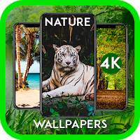 Nature Wallpapers 4K HD