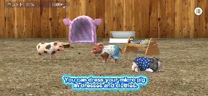 My micro pig Screenshot 1