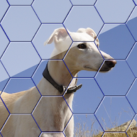 Hexa Jigsaw - Dogs jigsaw puzzle game