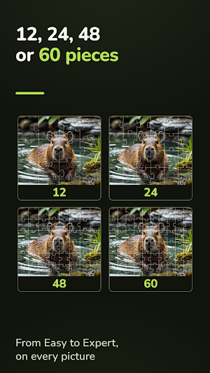 Capybara Jigsaw Puzzles Screenshot 2