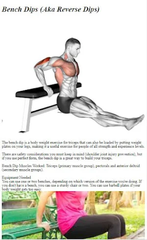 How to Do Bench Dips Workout Screenshot 1